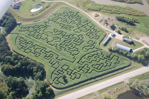 A Maze in Corn